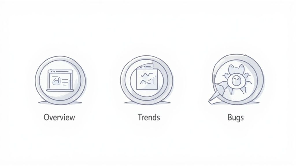 Three icons representing software testing categories: Overview, Trends, and Bugs with magnifying glass